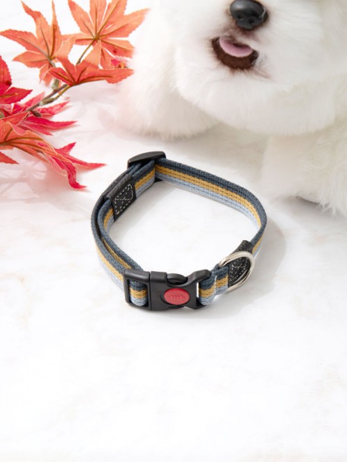 สายจูงสุนัข 3 สี (กว้าง 2 cm.)