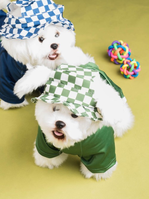 หมวก Pattern Bucket สัตว์เลี้ยง Size M