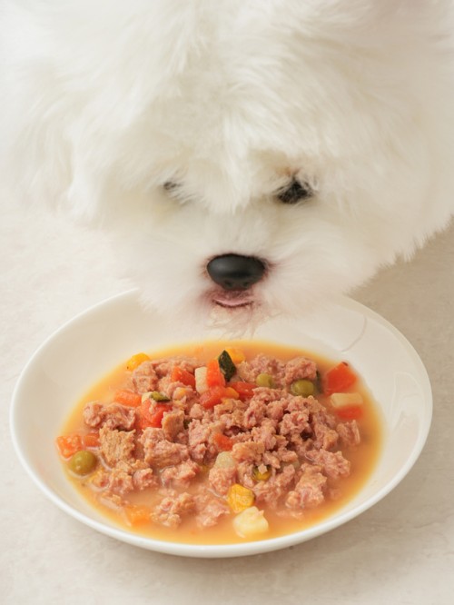 ขนมทานเล่น Dongwon Nutriplan Holic White Tuna & Vegetables (85 ก.) ของสัตว์เลี้ยง