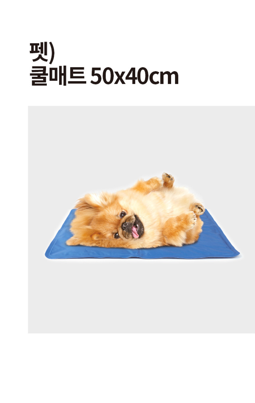 img.jpg