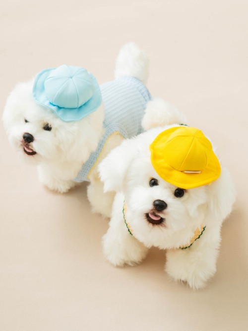 หมวก Kindergarten สัตว์เลี้ยง Size S