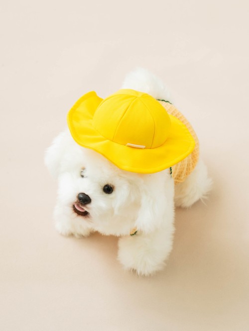 หมวก Kindergarten สัตว์เลี้ยง Size M