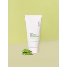 Botanical Garden Aloe Fresh Soothing Big Foam Cleanser