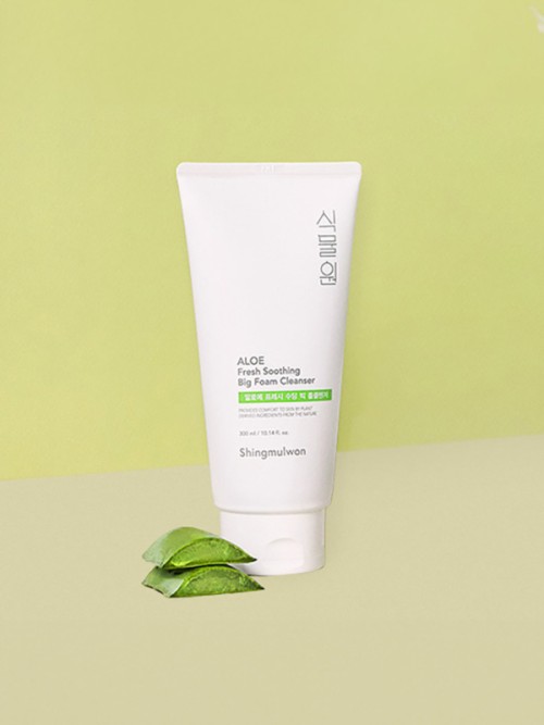Botanical Garden Aloe Fresh Soothing Big Foam Cleanser