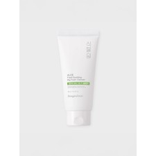 Botanical Garden Aloe Fresh Soothing Big Foam Cleanser