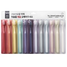 แปรงสีฟันเมเดียน 365DAYS | สำหรับผู้ใหญ่ แพ็ค 12 แท่ง